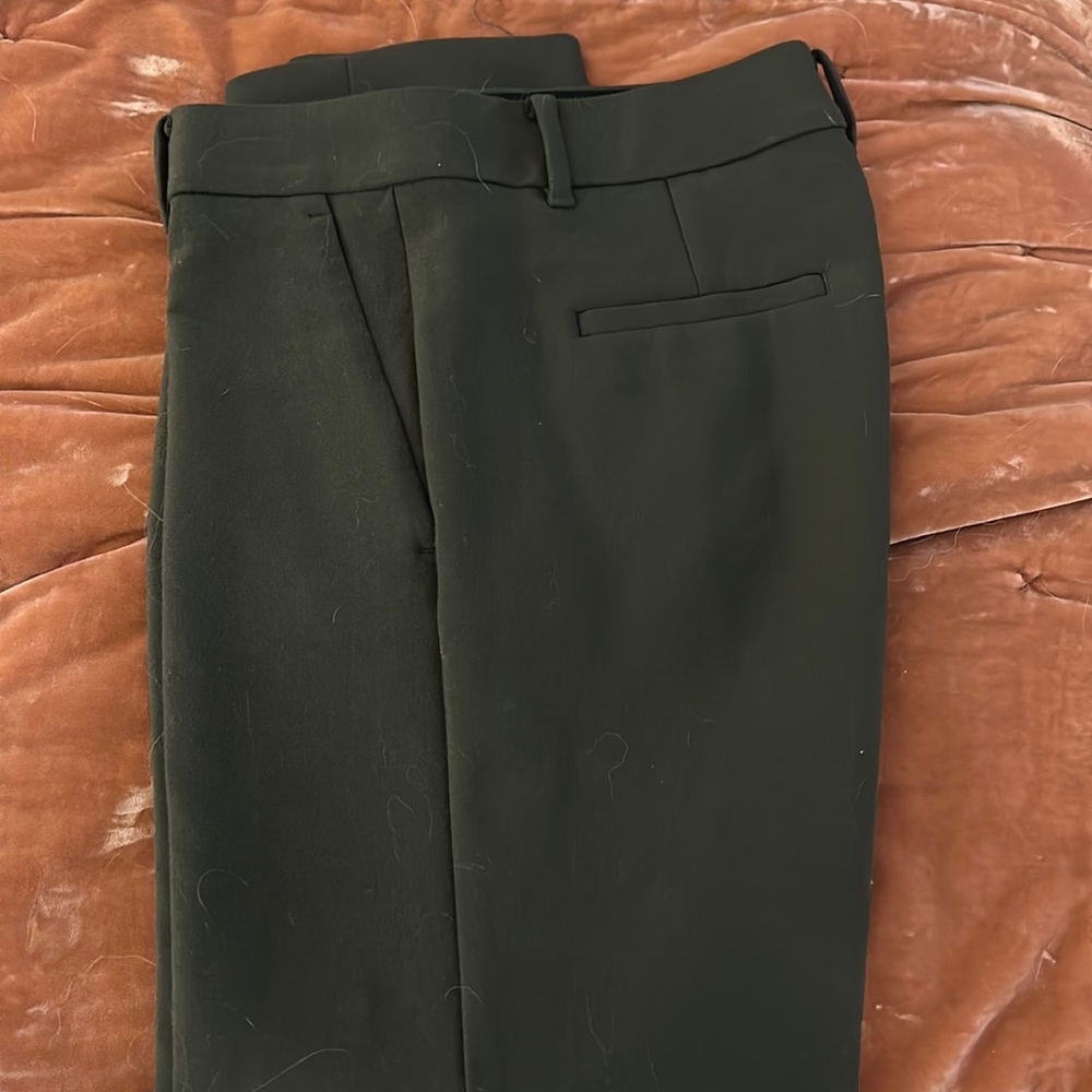 Olive Green Ann Taylor Devin Pant